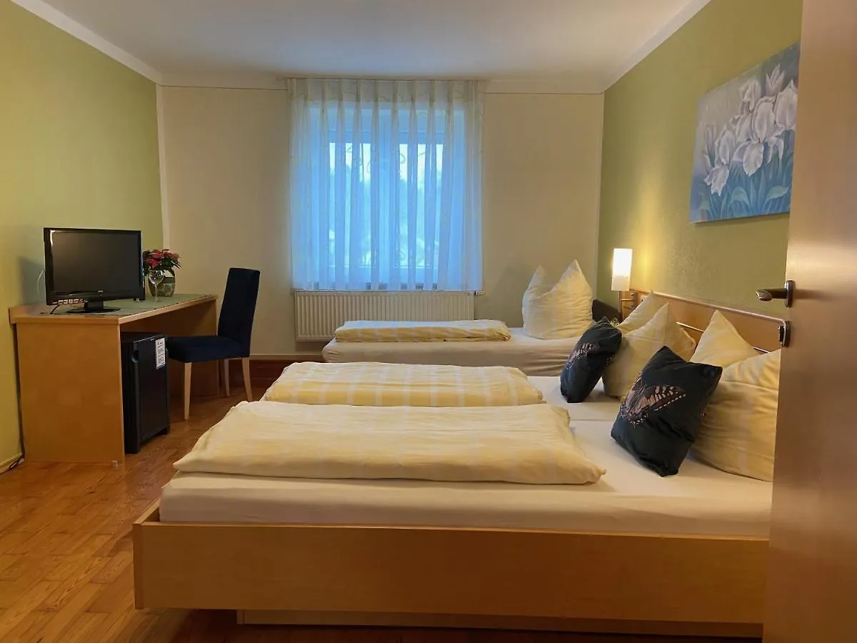 Hotel Goldener Loewe Guenzburg